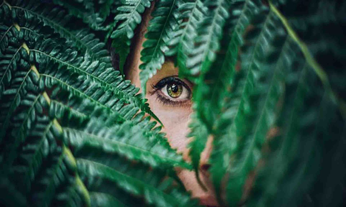 Top 5 Common Eye Myths