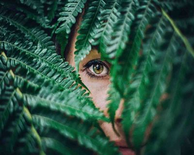 Top 5 Common Eye Myths